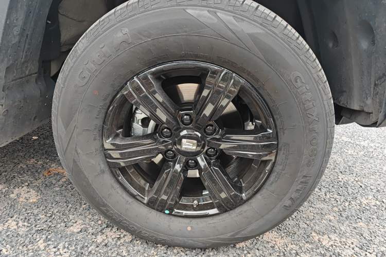 Used Tank 300 2025 2.0T Conqueror
