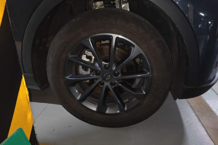 Used Leapmotor C11 2023 Pure Electric 500 Comfort Edition