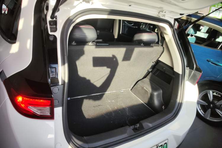 Used Dayun Yuehu 2022 30.66 kWh Two-Wheel Drive Standard Version
