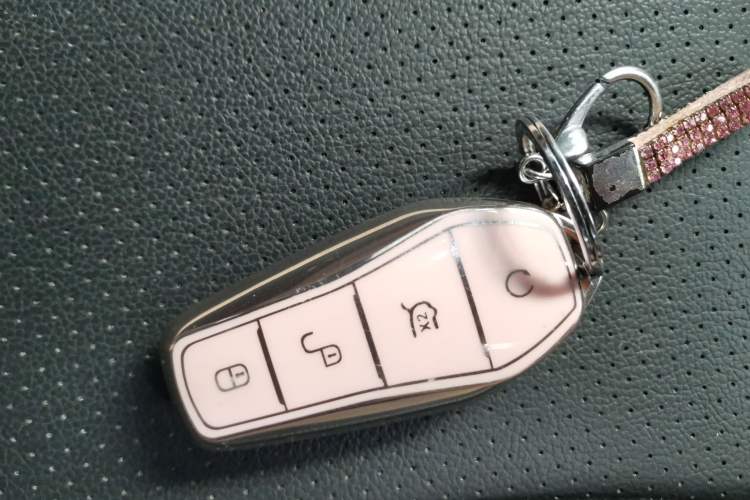 Used BYD Seagull 2023 Free Edition Vehicle Key