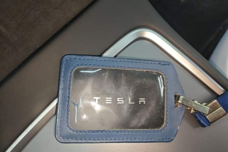 Used Tesla Model Y 2021 Long-Range All-Wheel-Drive Version 3D7