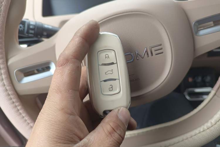 Used Geely Galaxy Panda 2023 Panda Mini 200km Endurance Bear
