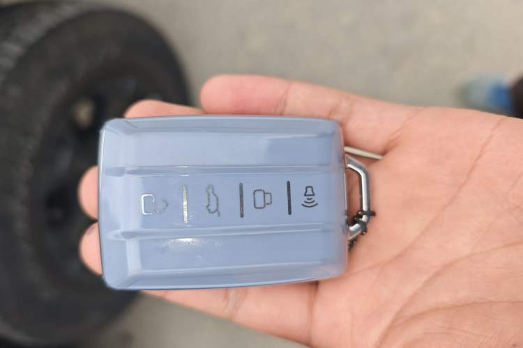 Used Tank 400 New Energy 2023 Hi4-T Super Edition
