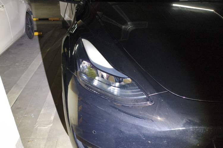 Used Tesla Model Y 2023 Rear-Wheel-Drive Version
