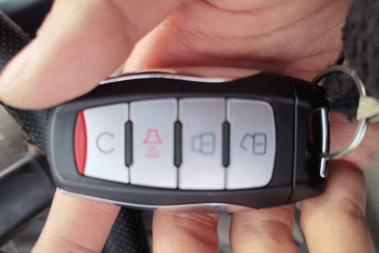 Used Great Wall Poer 2019 2.0T Automatic Gasoline Two-Wheel Drive Comfort Edition GW4C20B