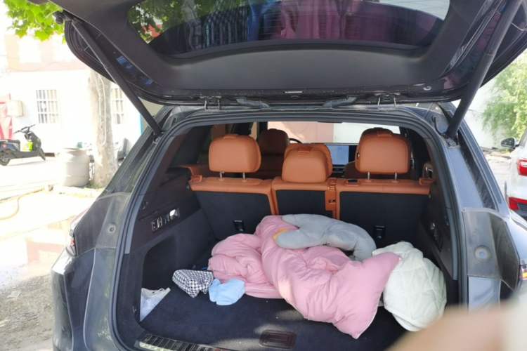 Used Li Auto L7 2024 Pro Model