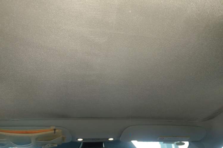 Used Tesla Model 3 2021 Performance High-Performance All-Wheel-Drive Version Headliner