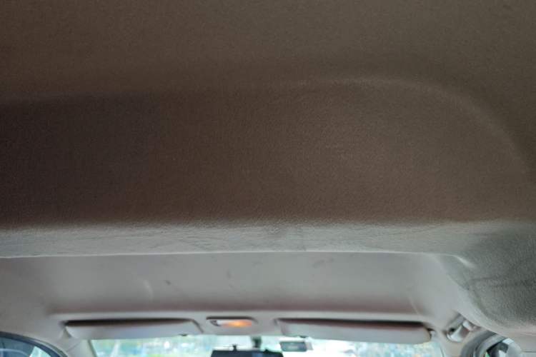 Used FORTHING Lingzhi 2023 M5L 1.6L Base Model 7 Seats Headliner