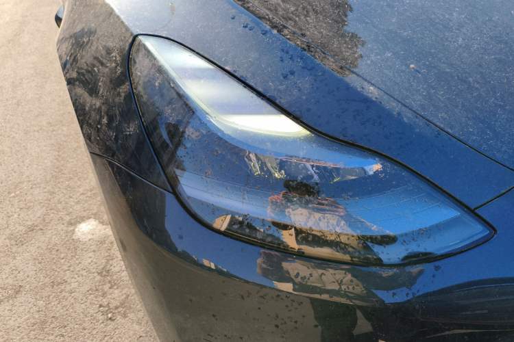 Used Tesla Model Y 2024 Rear-Wheel-Drive Version