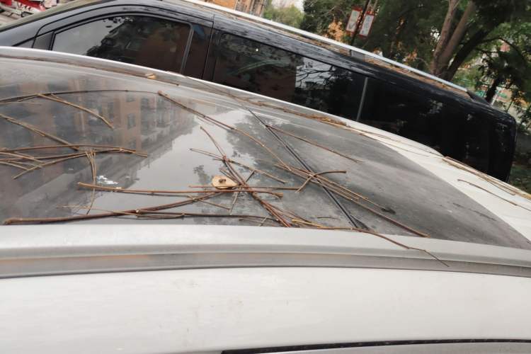 Used Mercedes-Benz GLC 2022 Facelifted GLC 260 L 4MATIC Dynamic Edition