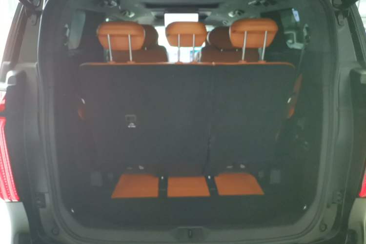 Used Wey Gaoshan 2025 Four-Wheel Drive Alpine 8 Trunk