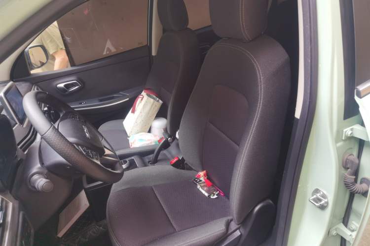 Used Dayun Yuehu 2022 300 Standard Edition Left Front Seat