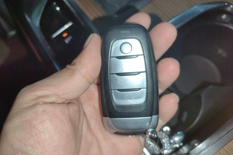 Used Hongqi E-HS9 2021 460 km Range Flagship Edition Six-Seater Vehicle Key