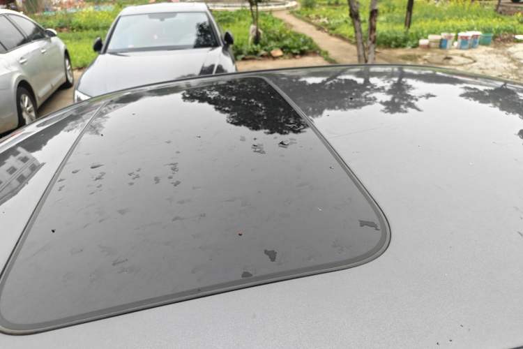 Used Changan Ruicheng CC 2022 Blue Whale Edition 1.5T DCT Luxury Model
