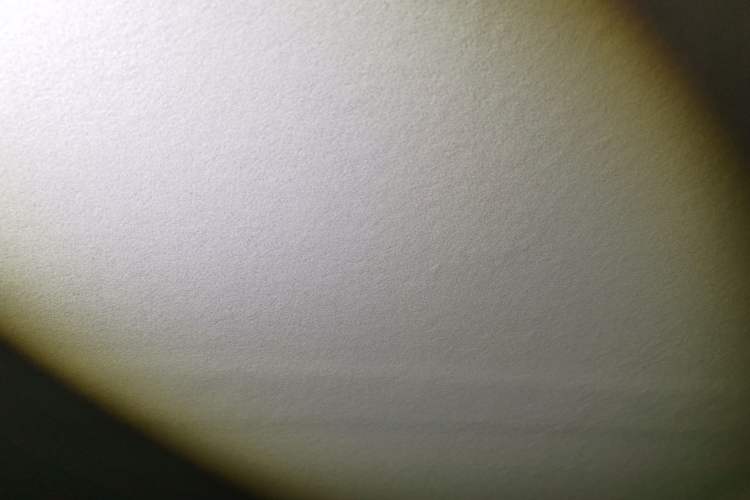 Used Ford EcoSport 2017 1.5L Automatic Trend Model Headliner