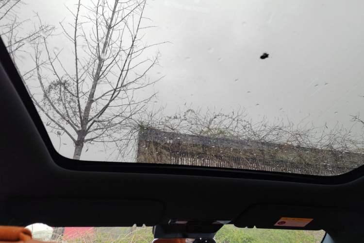 Used Li Auto L6 2024 Pro Model
