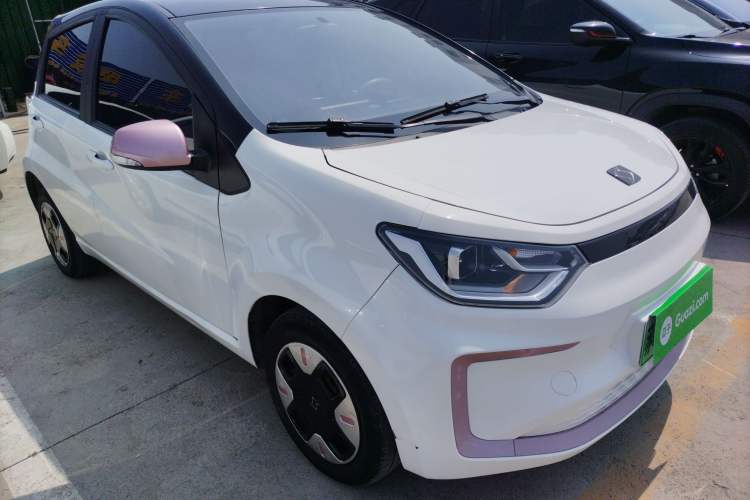 Used SOL E10X 2022 Flower Fairy Design Dandelion