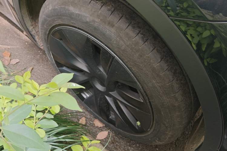 Used Tesla Model Y 2023 Rear-Wheel-Drive Version