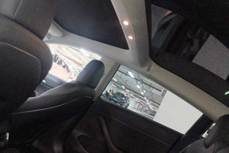 Used Tesla Model 3 2021 Standard Range Rear-Wheel Drive Upgraded Version 3D6