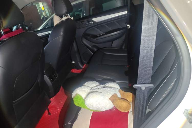 Used Roewe RX5 New Energy 2019 eRX5 50T Internet-Enhanced Flagship Edition Left Rear Seat