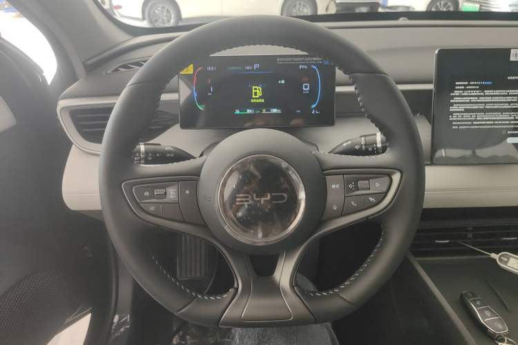 Used BYD Seal 05 DM-i 2025 DM-i Smart Drive 55KM Luxury Model
