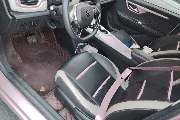 Used SOL E10X 2022 Flower Fairy Style Baby's Breath