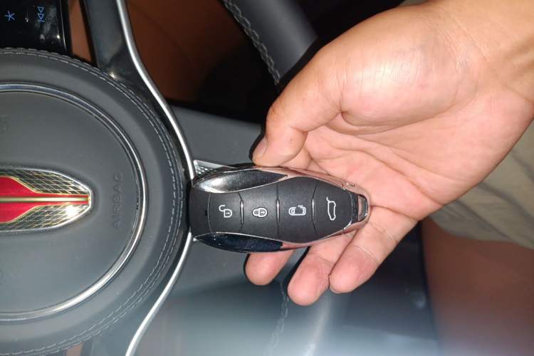 Used Hongqi HQ9 PHEV 2024 2.0T Four-Wheel Drive Business Edition