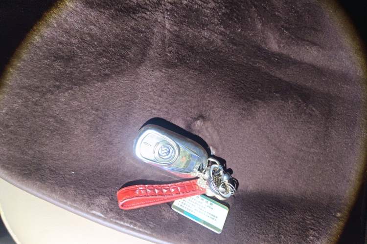 Used Buick GL8 2017 ES 28T Premium Version China V Standard Vehicle Key