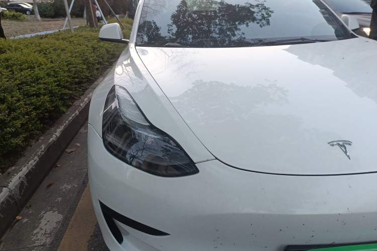 Used Tesla Model 3 2021 Standard Range Rear-Wheel Drive Upgraded Version 3D6