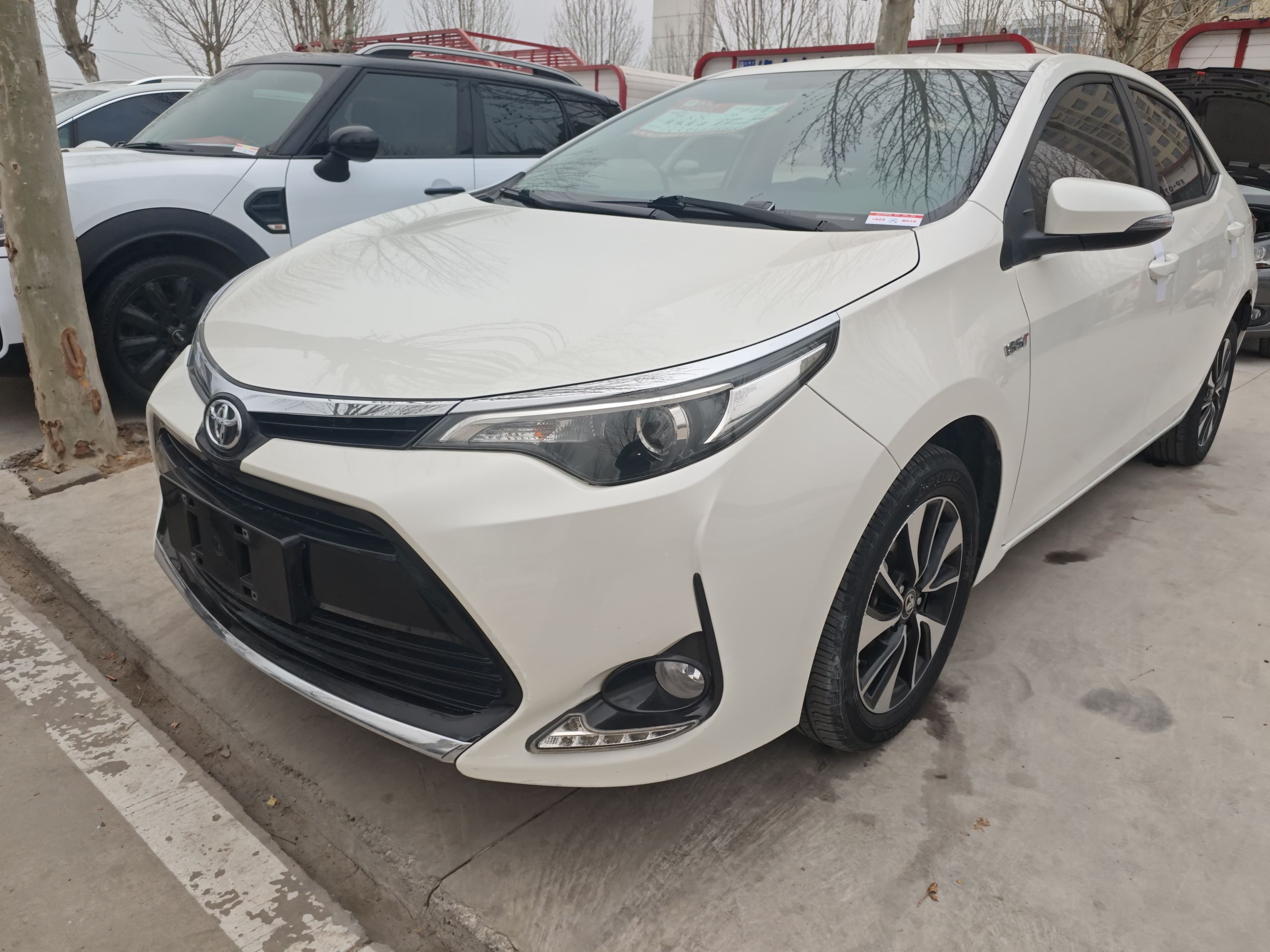 Parte inferior delantera