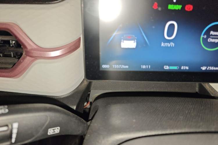 Used SOL E10X 2022 Flower Fairy Design Four-Leaf Clover Odometer Close Up