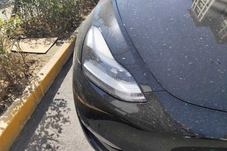 Used Tesla Model Y 2022 Revised Version Long-Range All-Wheel Drive
