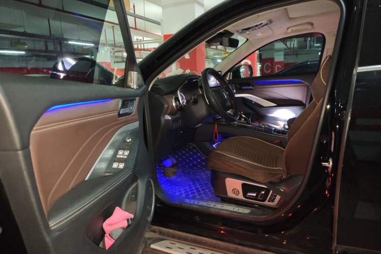 Used Wey VV6 2021 2.0T Two-Wheel Drive Smart Plus Driver Seat