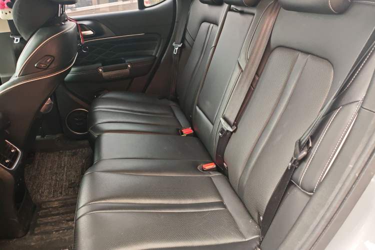 Used Tank 300 2021 2.0T Wind & Forest Iron Rider
