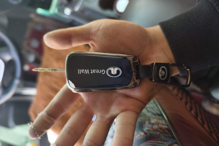 Used Great Wall Wingle 7 2019 2.0T Diesel Two-Wheel Drive Elite Version China VI Standard Big Double Cabin GW4D20M Vehicle Key