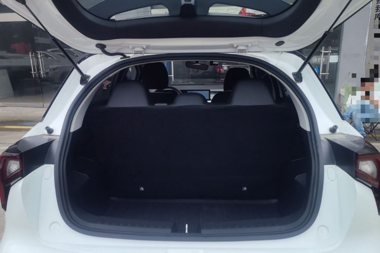 Used Geometry E Firefly 2024 401 km Fluorescent Trunk