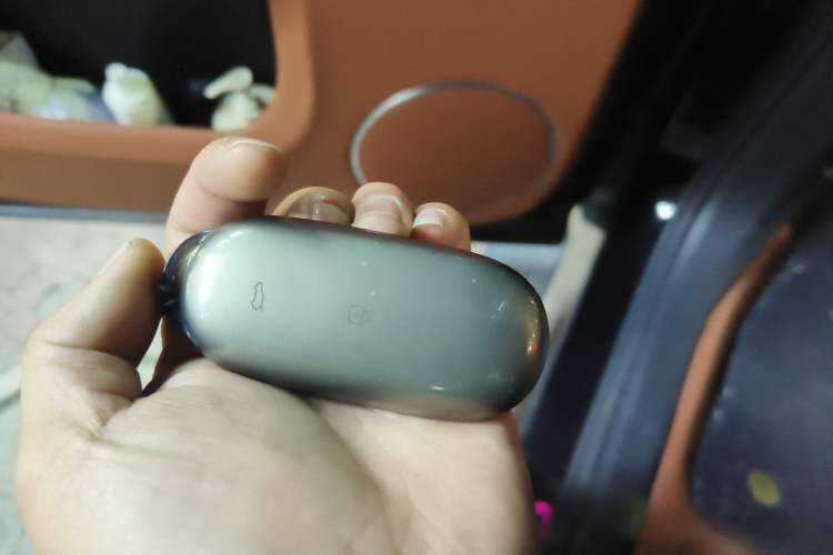 Used Li Auto L9 2023 Pro Model
