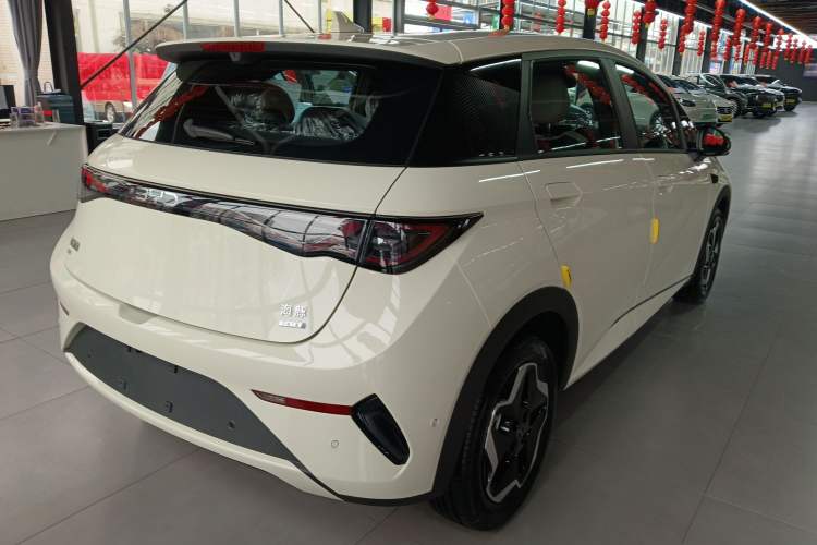 Used BYD Dolphin 2025 Smart Drive Version 420 km Freedom Edition
