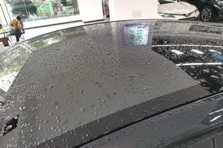 Used Tesla Model Y 2025 Long-Range All-Wheel-Drive Version Roof