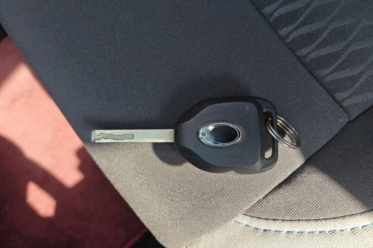 Used ORA Black Cat 2019 351 km Goddess Edition
