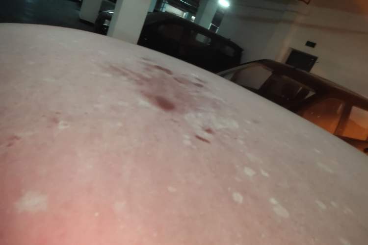 Used Baojun RC-6 2019 1.5T CVT 24-Hour Online Luxury Edition
