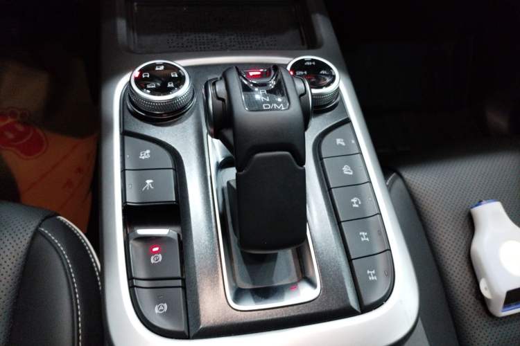 Used Tank 300 2024 2.0T Conqueror