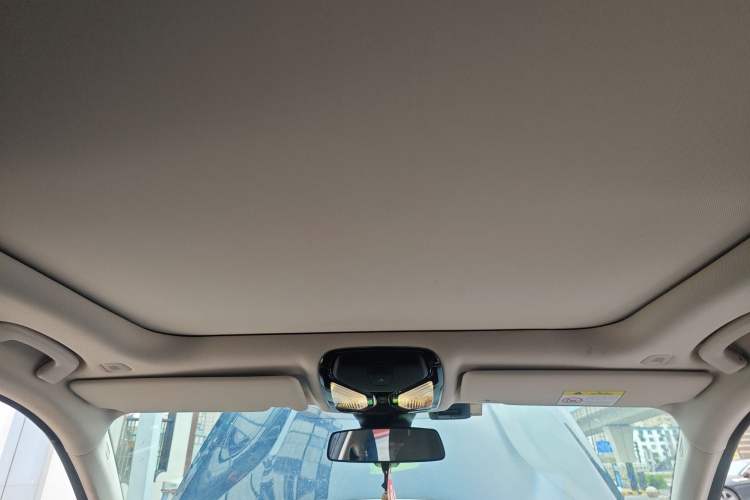 Used BMW 3 Series 2023 325Li M Sport Package Headliner