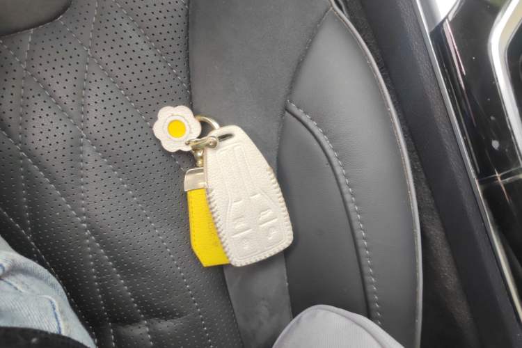 Used Hongqi HS5 2022 Revised Version 2.0T Smart Connect Flagship Edition