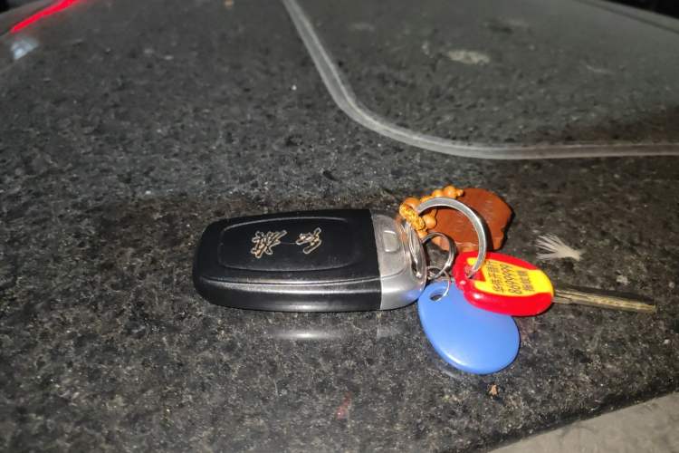 Used Hongqi H5 2019 30TD Dynamic Edition Vehicle Key