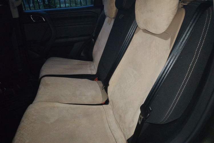 Used Haval DARGO 2021 1.5T DCT Two-Wheel Drive Husky Edition Left Rear Seat