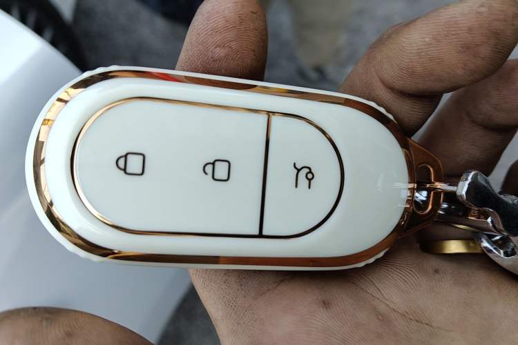 Used Leapmotor C11 2023 Pure Electric 500 Smart Edition
