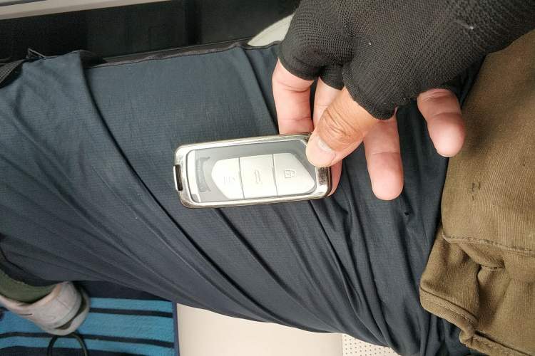 Used VOYAH FREE 2021 Four-Wheel Drive Standard Range-Extended Exclusive Luxury Package
