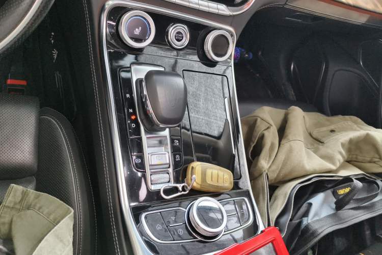 Used Hongqi H9 2020 2.0T Smart Connect Flagship Edition