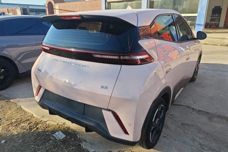 Used BYD Seagull 2023 Free Edition Exterior 5